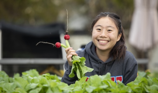 Student doing gardening as part of community service. She is smiling and holding radishes.